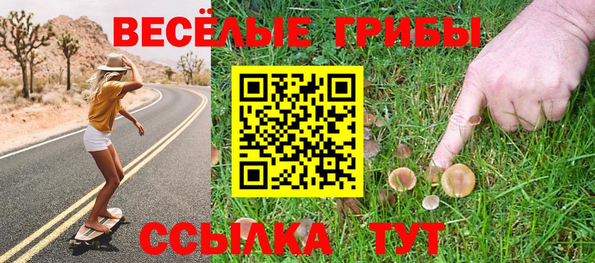 Самара  цена наркотик  Галлюциногенные грибы Psilocybine cubensis  Вход с VPN  Псилоцибиновые грибы GOLDEN TEACHER 